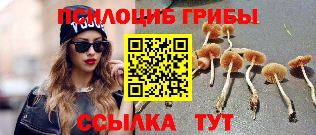 Выборг  Галлюциногенные грибы мицелий  Вход с VPN 